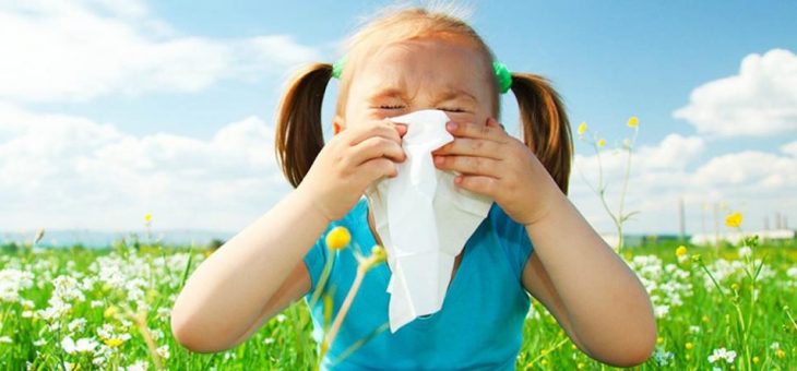 Asthme et allergie : quelles interactions ?